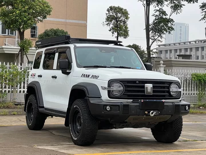tank 300