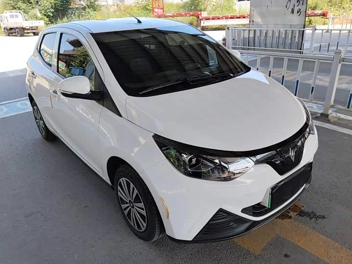 Jiangling Easy EV2