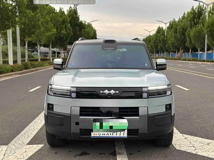 BYD Leopard Titanium 7