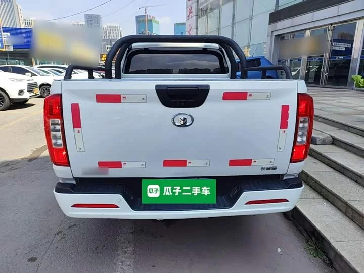 Great Wall gun