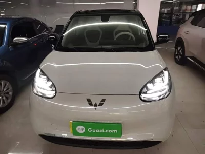 Wuling Bingo