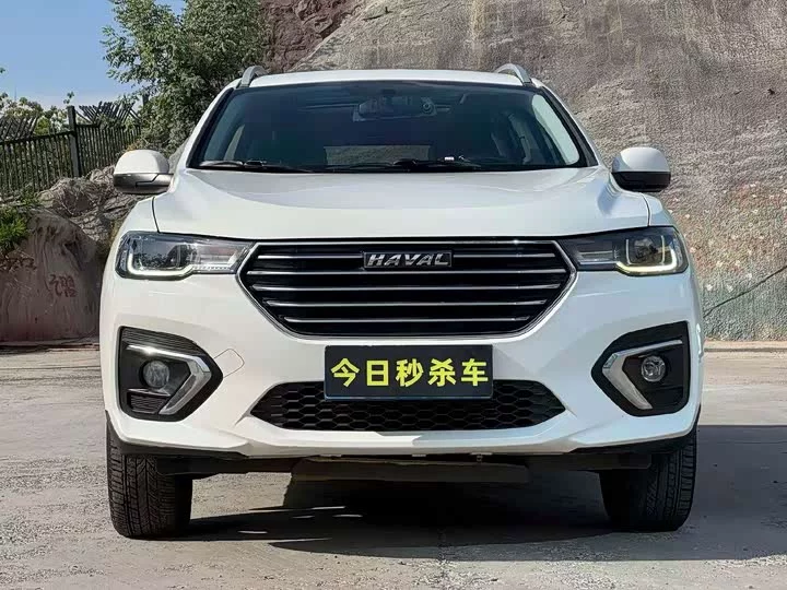 Haval H2s