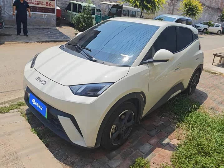 BYD seagull