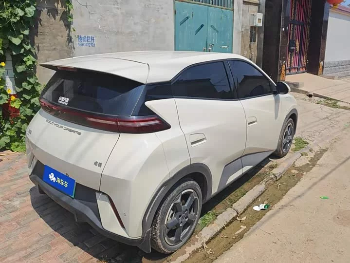 BYD seagull