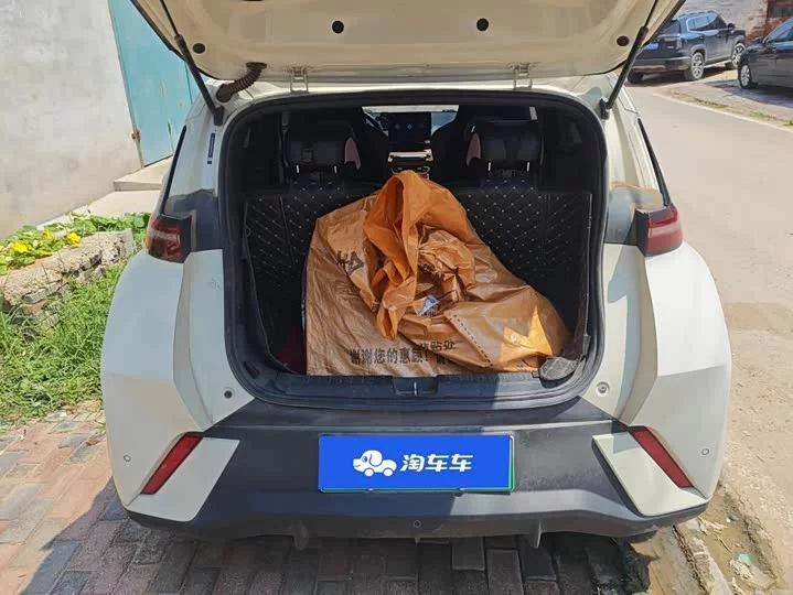 BYD seagull