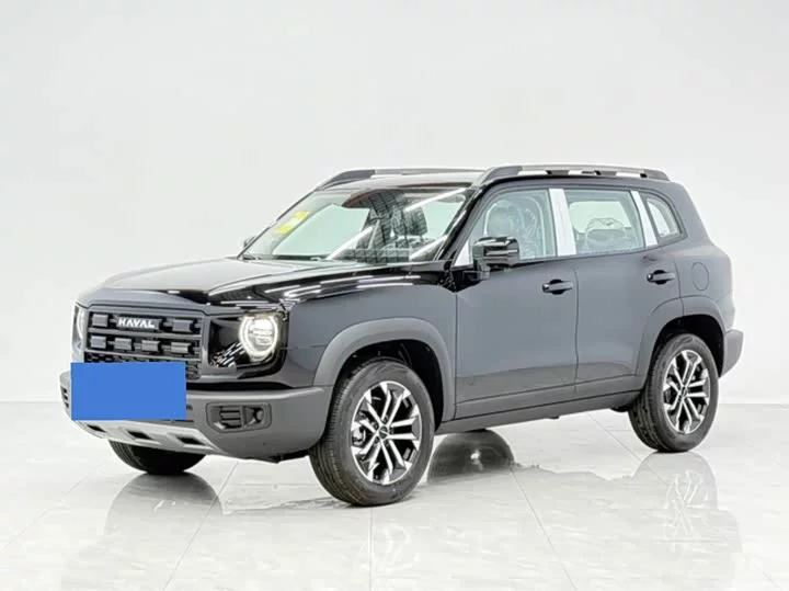 Haval Big Dog DaGou