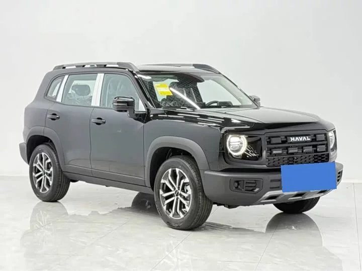 Haval Big Dog DaGou
