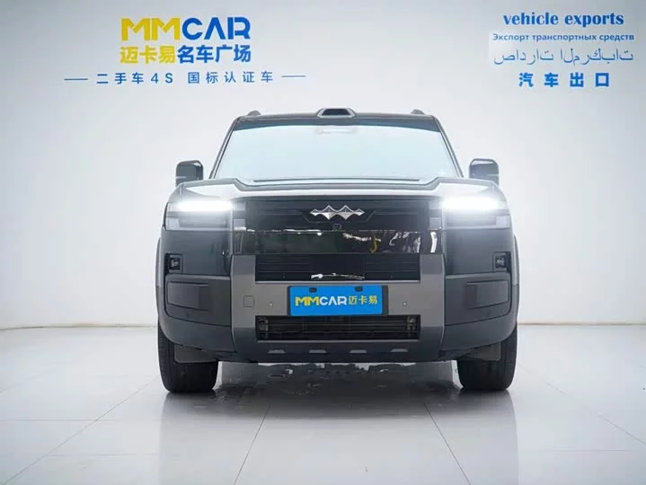 BYD Leopard Titanium 7