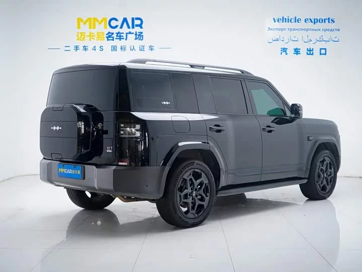 BYD Leopard Titanium 7