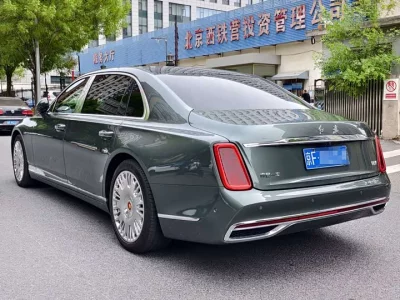 Hongqi Golden Sunflower Country Elegance