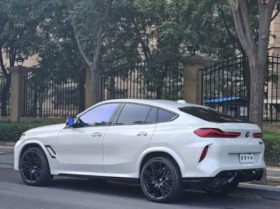 BMW X6 M