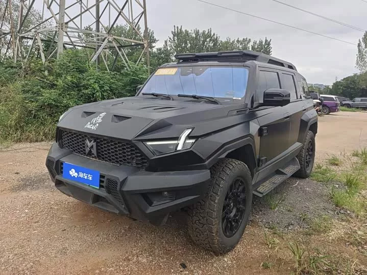 Mengshi 917