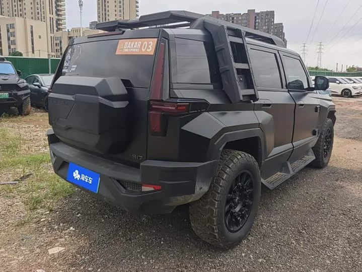 Mengshi 917