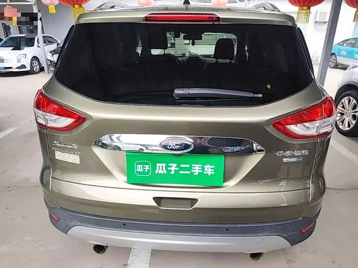 Ford wing tiger