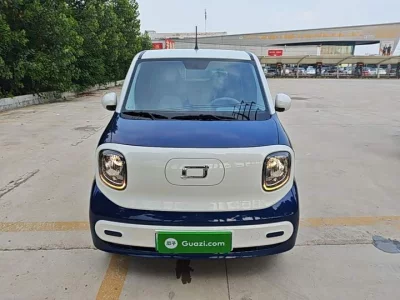 FAW pony