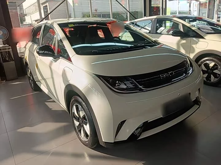 BYD dolphin