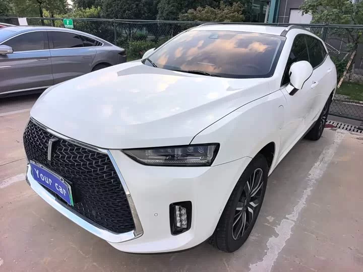Wey P8