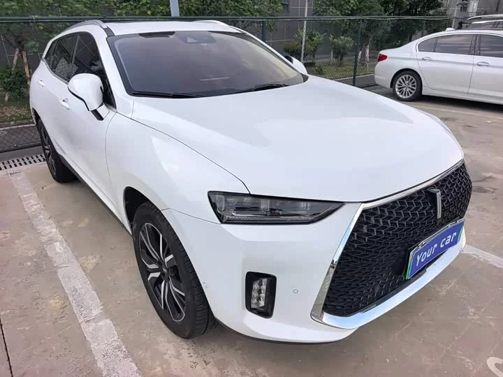 Wey P8