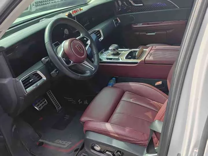 Hongqi E-HS9