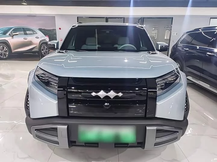 BYD Leopard Titanium 3