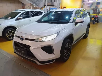 Toyota Wildland New Energy