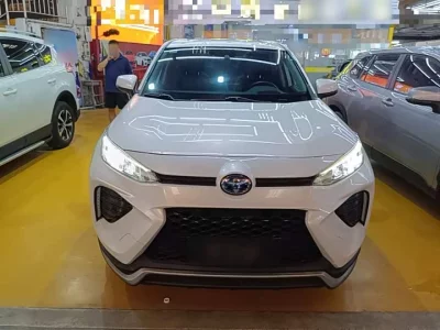 Toyota Wildland New Energy