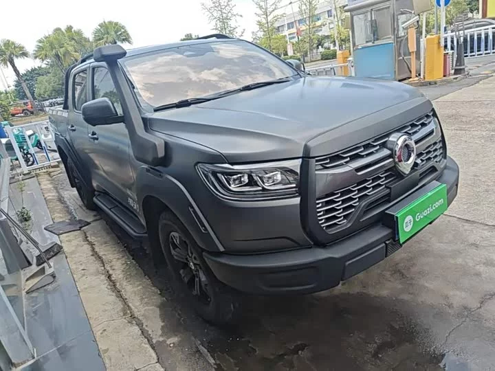 Great Wall gun