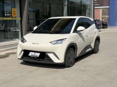 BYD Seagull