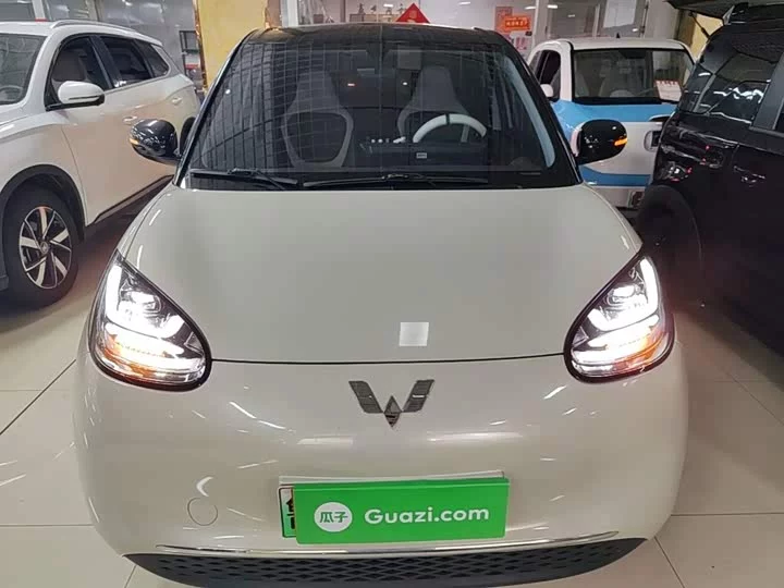 Wuling Bingo