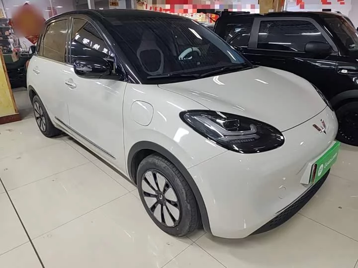 Wuling Bingo