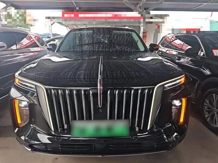 Hongqi E-HS9