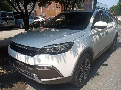 Leopaard Cheetah CS10