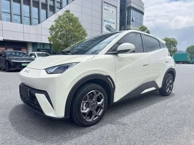 BYD seagull