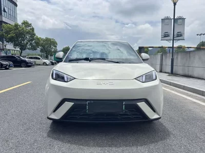 BYD seagull