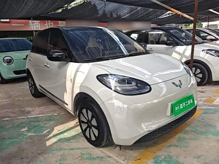 Wuling Bingo