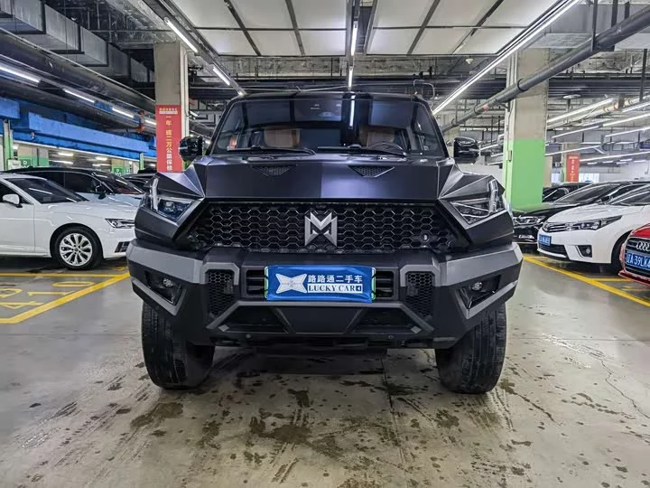 Mengshi 917