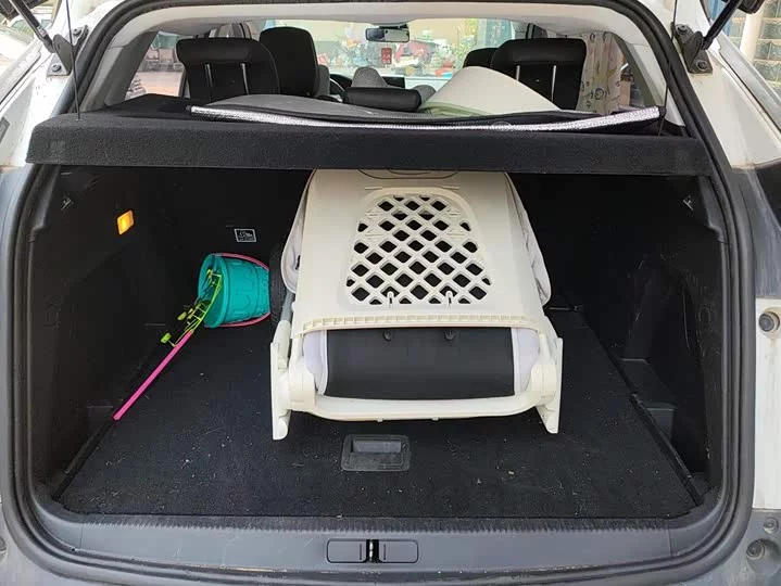 Peugeot 4008