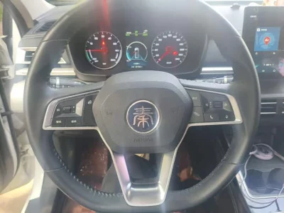 BYD Qin New Energy