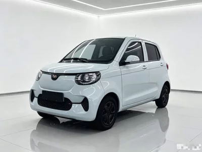 Xiaohu EV