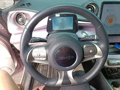 BYD dolphin