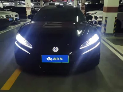 Denza Z9GT