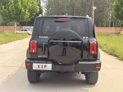 TANK 300