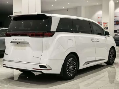 Denza D9