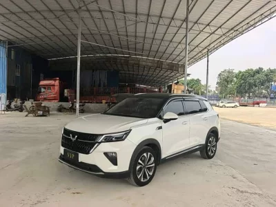 Wuling Star