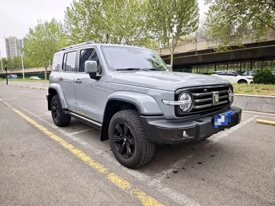TANK 300