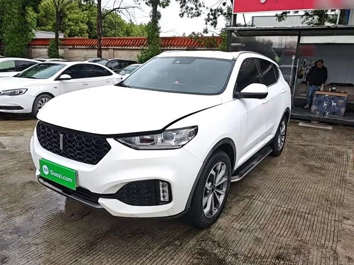 Wey VV6