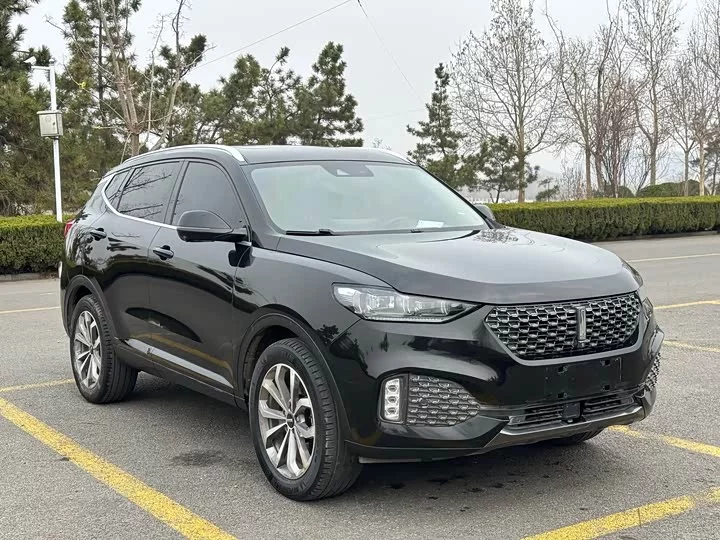 Wey VV6