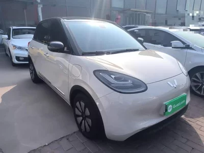 Wuling Bingo