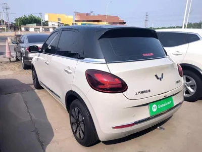 Wuling Bingo