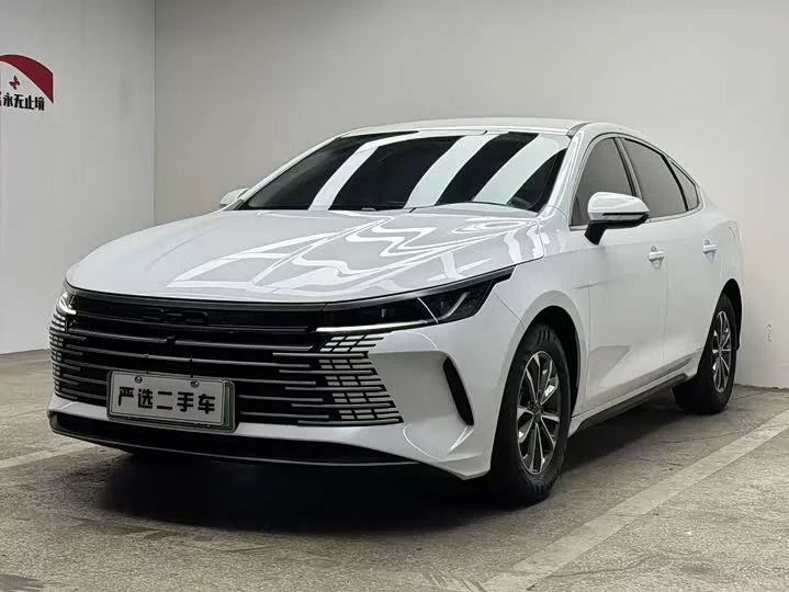 BYD Destroyer 05